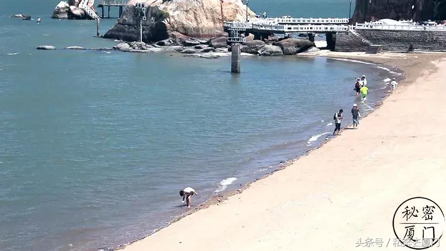 鼓浪屿自由行最佳攻略,鼓浪屿自由行攻略最佳时间