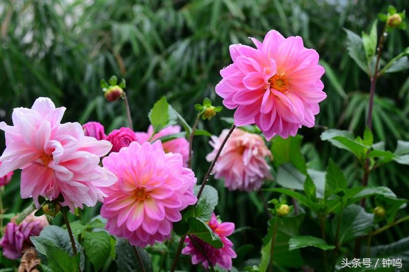 丽*宋江**城——魂牵梦绕的千古情怀