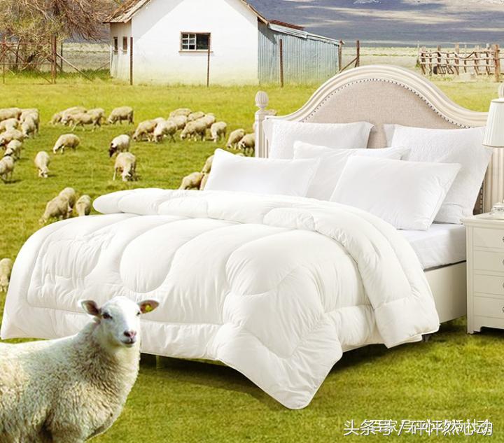 中秋给父母应该送什么礼物,最好的中秋礼物排行榜