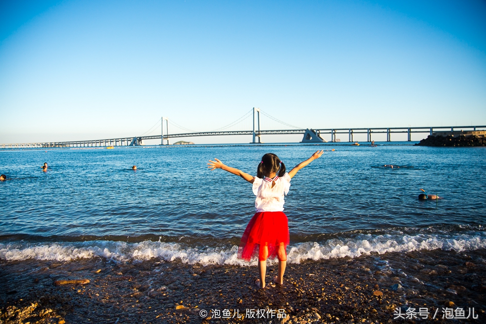 大连极地企鹅,南极企鹅求婚视频