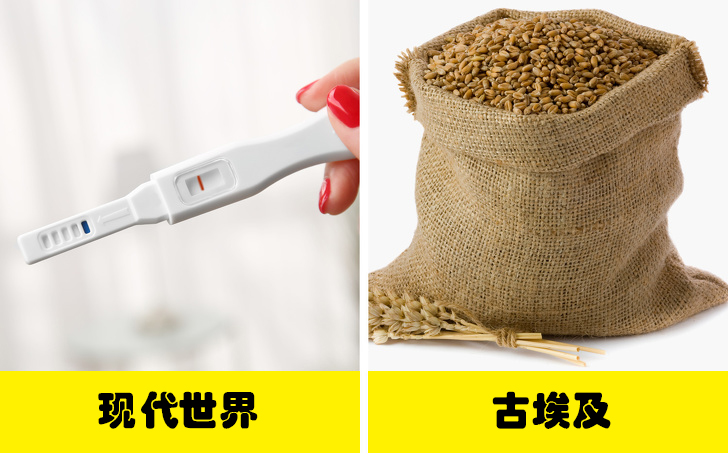 有哪些医学领域大家是不知道的,医学领域有哪些人类不知道的事实