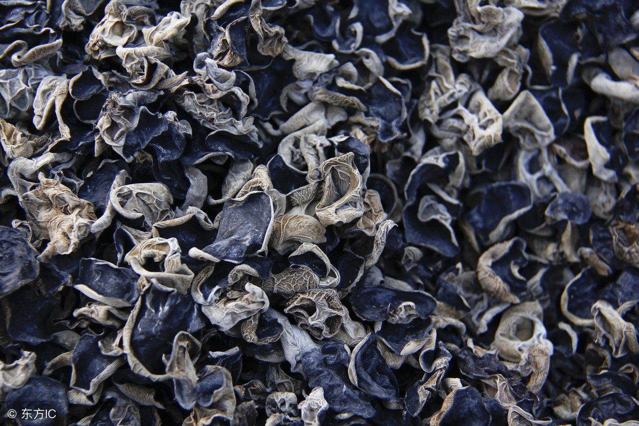 张家界旅行安排攻略,想去张家界旅游怎么开始旅行呢