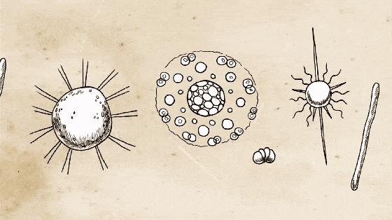 一条脏*裤内**，伤害人体“下三路”！6步手洗法清除细菌