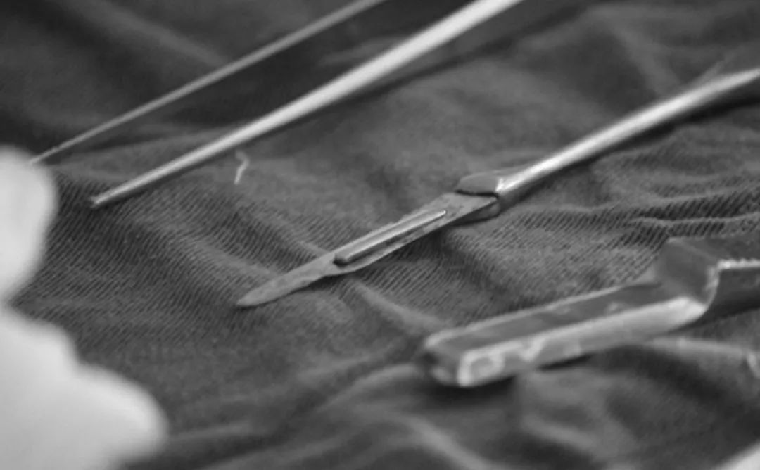 虐妻狂魔：他让她早请示晚汇报，夜里还要写检讨｜夜行档案31