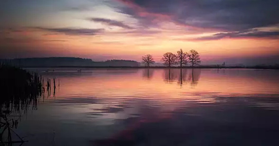 村里人得了怪病,山村的怪病完整版