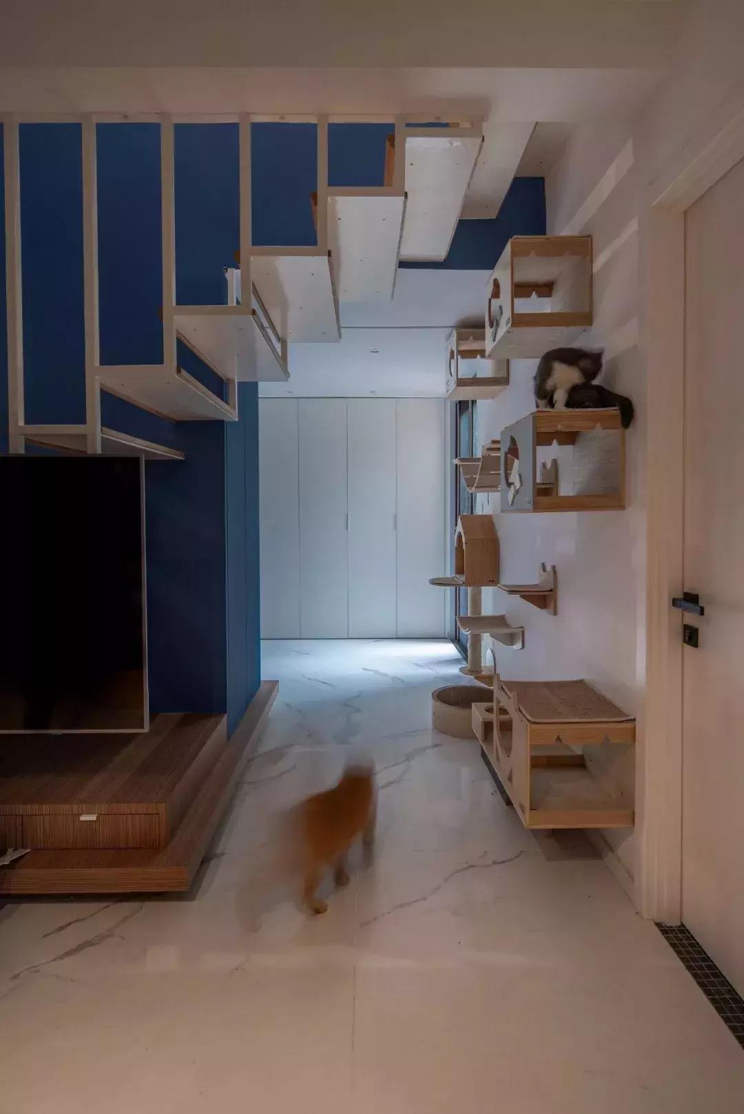 閾插睅瀹樺拰鐚挭鐨勫崸瀹よ璁″浘,閾插睅瀹樼粰鑷鐚挭璁捐鎴垮瓙