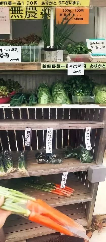 日本走心日常小设计,日本惊艳的小设计