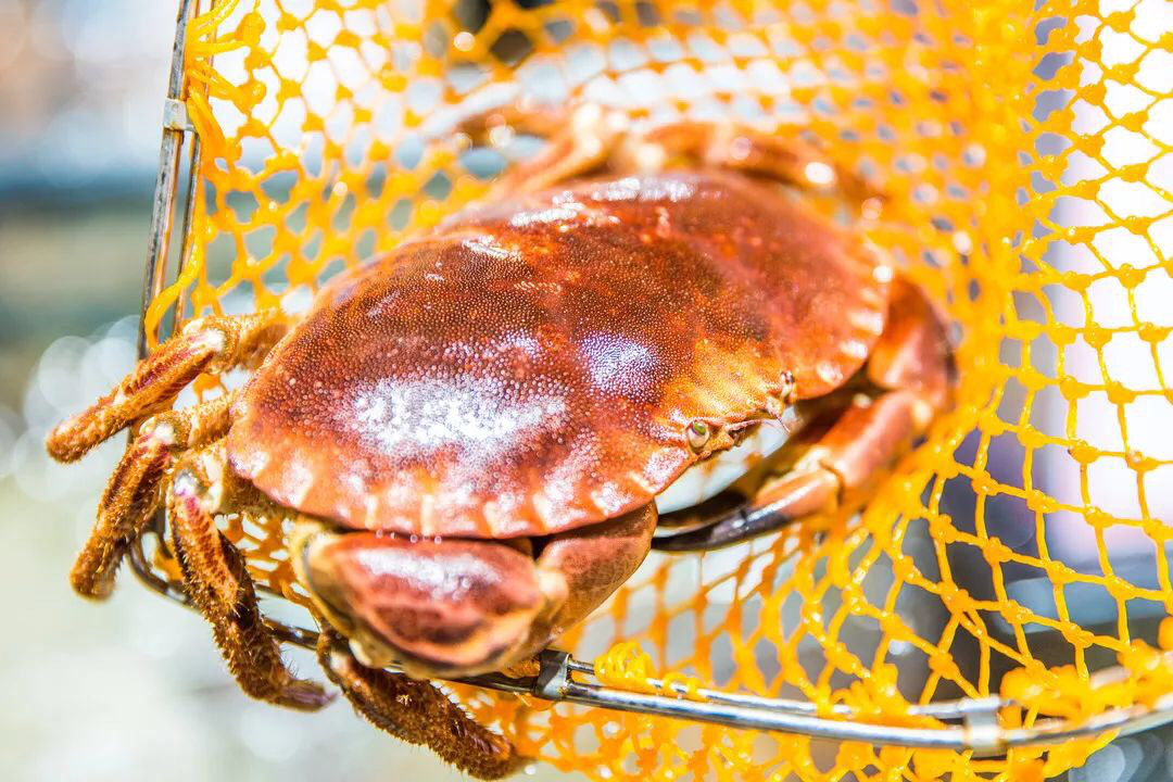 海口三家免税店哪家最好,海口三家店