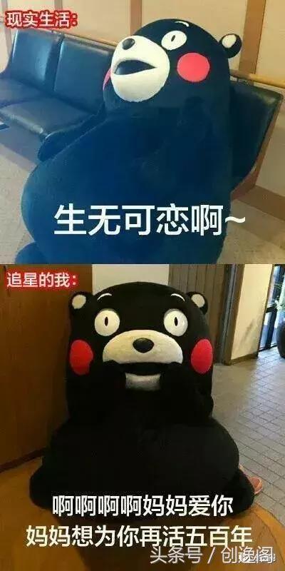 「逸篇文字」追星真的没有尊严吗？