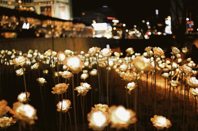 黔南旅游攻略必去景点,黔南州八月初适合游玩地点推荐