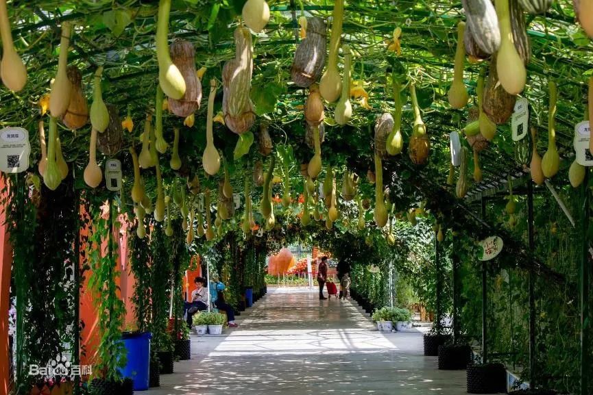 国庆假期游玩攻略玉林,国庆玉林一日游最佳攻略