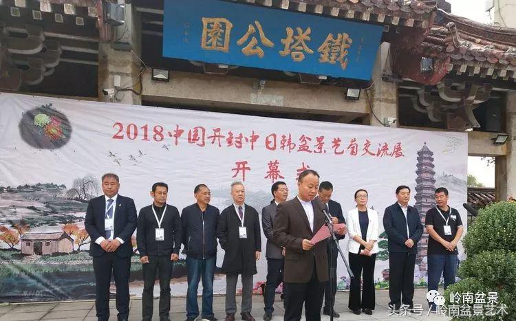 百年精品流苏老桩盆景,精品南天竺盆景