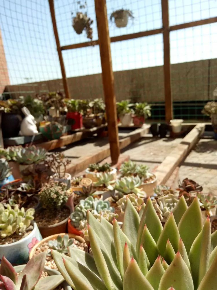 命运多舛，痴迷淡然，肉坚强们逆袭在秋天！