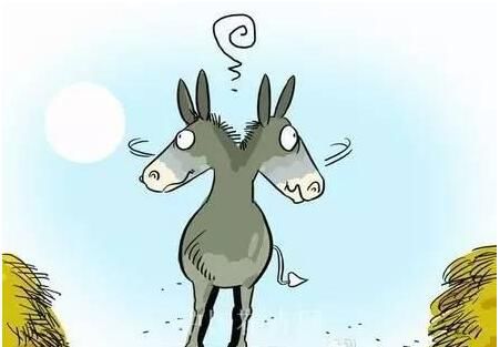 美国心理学家的11个锦囊，拯救你的选择恐惧症