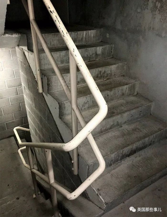 在卧室里发现一只死蟑螂,卧室发现一只死蟑螂