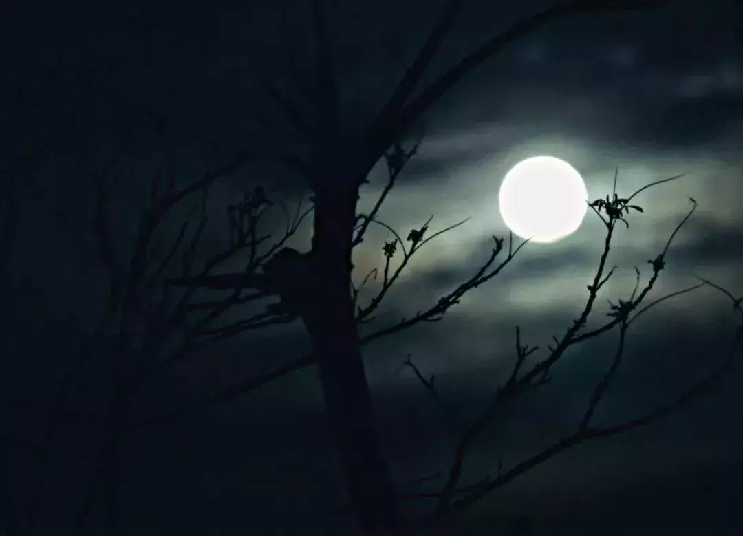 8首经典的月亮诗词,咏月最好的十首诗