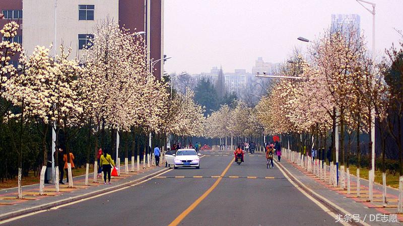 中国唯一一个占一座岛的学校,我国岛屿上有哪些大学