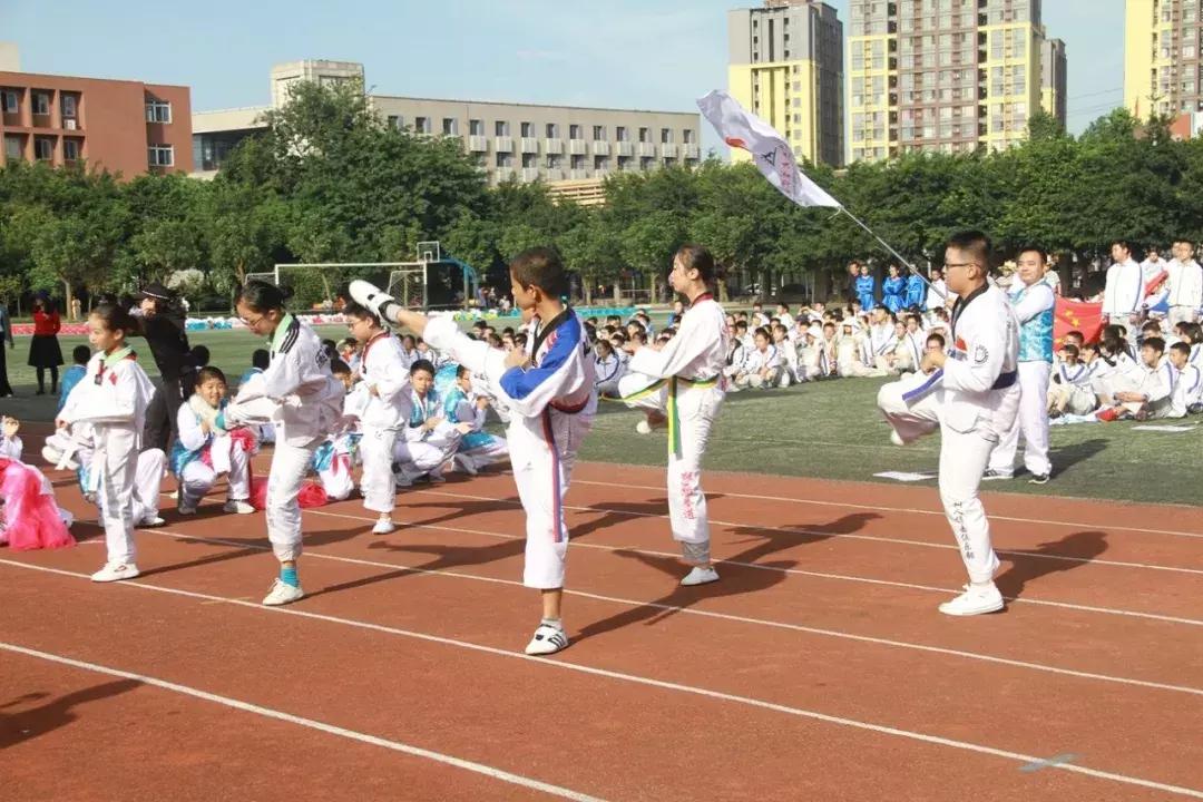 巧绘世界缩影，畅舞运动激情，科中第十届体育文化节盛大开幕