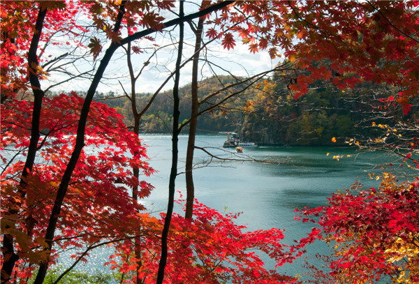 十大最美自驾游线路图,最美6条自驾游线路