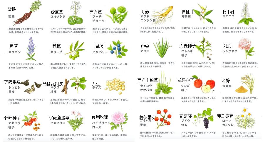 7秒卖1瓶!这款日本爆火单品,3分钟让大干皮变身“水宝宝”!