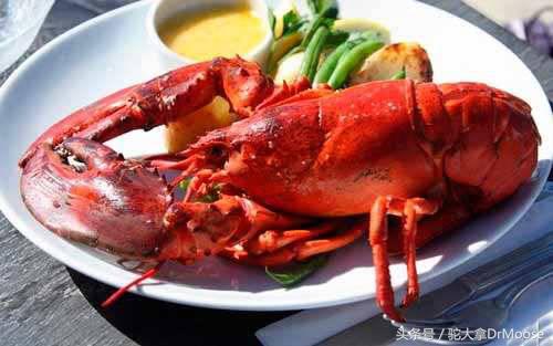 最有特色的加拿大美食,加拿大一般都吃什么食物