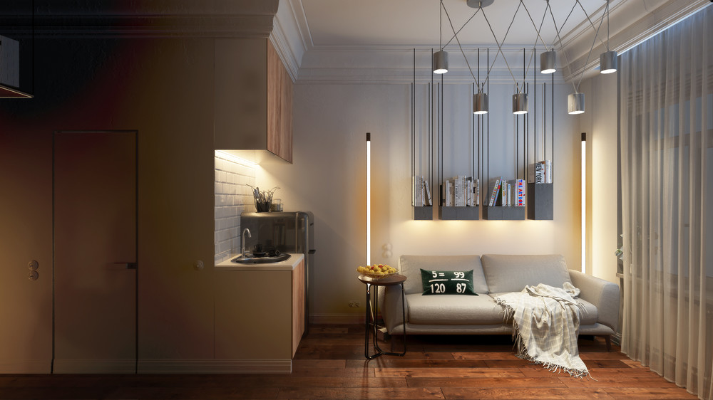 一室一厅单身公寓装修清新,清远市清新区单身公寓出售