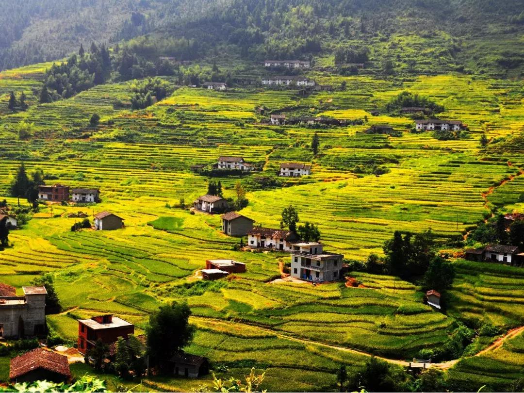 国庆你准备到哪里去的,国庆到了你会去哪