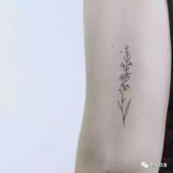 十大最耐看纹身花臂纹身,让人美到窒息的纹身图案