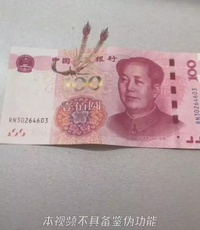 螃蟹体内注射蛋黄,螃蟹肚子里注射蛋黄