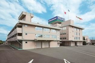 日本治疗创伤性关节炎,治疗关节炎的日本进口药