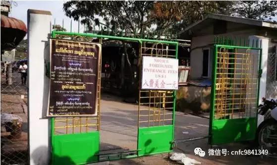 翡翠界“大地震”！7000多名玉商联名上书：禁止直播卖翡翠！