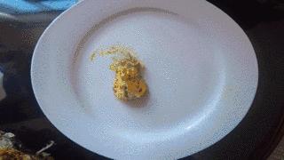 大闸蟹基础知识,大闸蟹科普知识