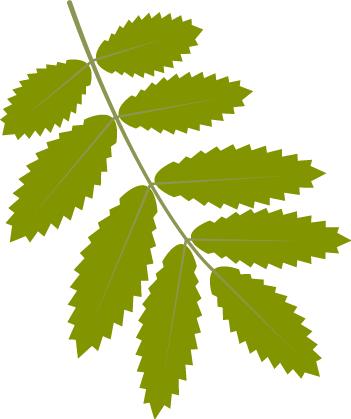 「优秀住院医师」孙晓彤：业精于勤，行成于思