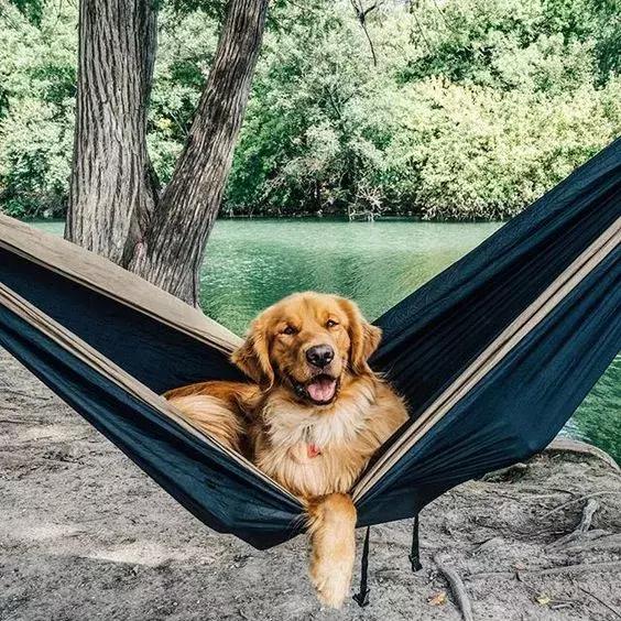 旅行不是因为有钱,我喜欢旅行不是因为风景有多美