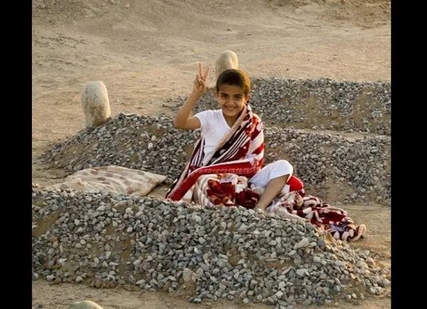 一张震撼世人的假照片,你看到的不一定是真相图片