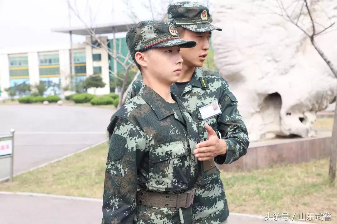 从象牙塔走出来的创业思考,从象牙塔到部队