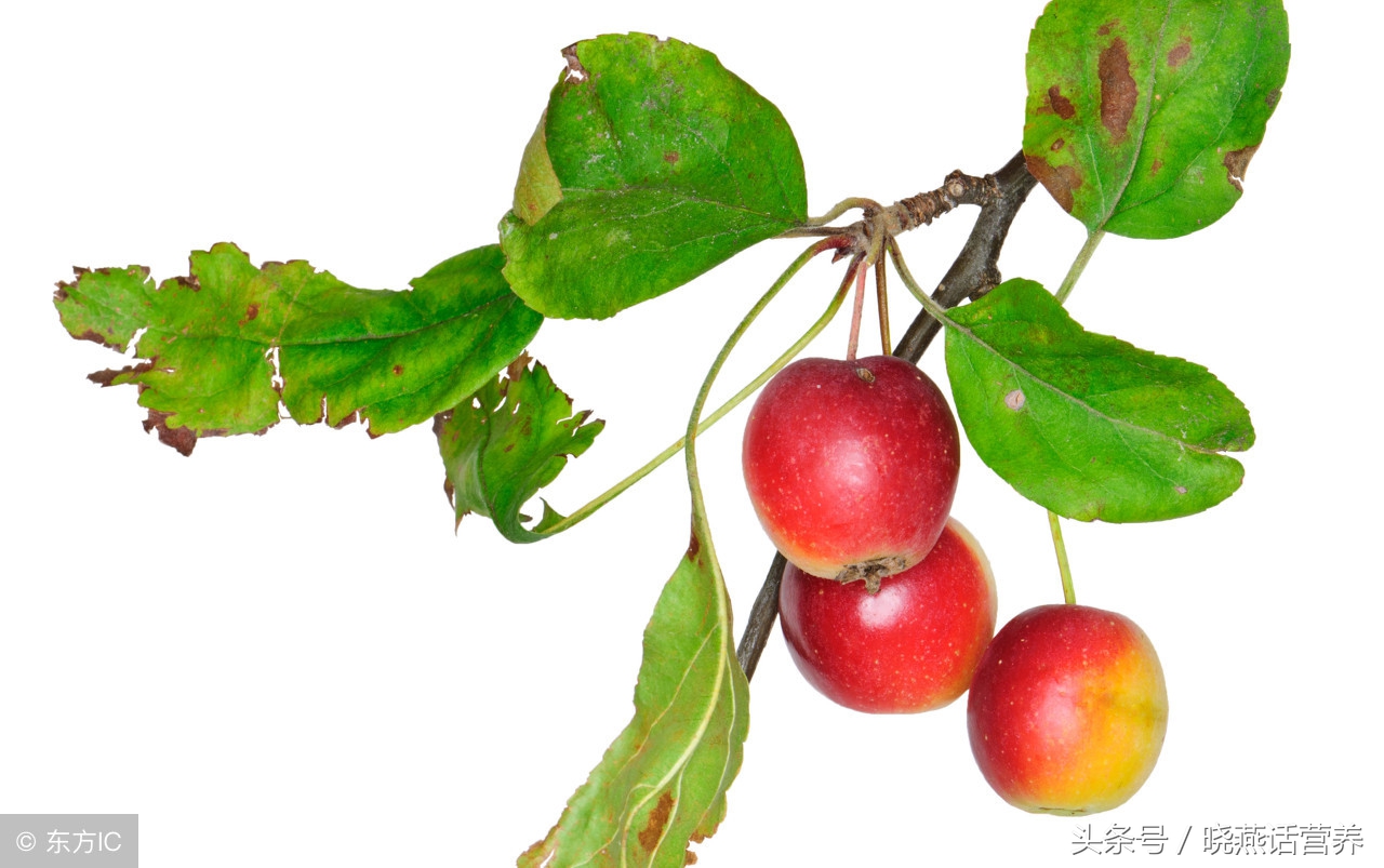 苦杏仁有毒是砒霜吗,苦杏仁有毒吗吃多少合适