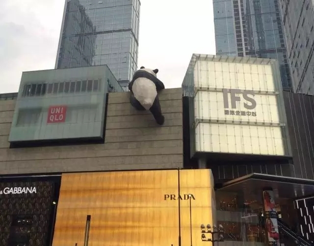 上海南京杭州苏州乌镇旅游攻略,上海迪士尼乐园旅游攻略大全