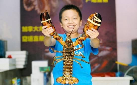 纪检人纪录片,纪检人真实视频