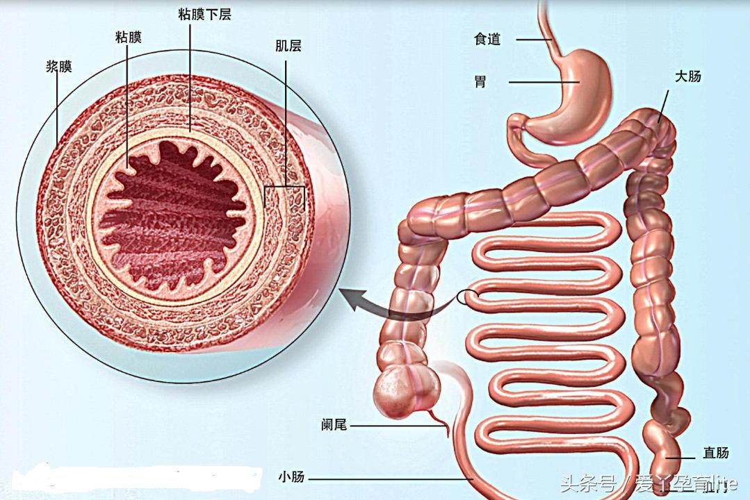 坐拥500吨美钞的发哥，拉的屎是不是金光闪闪的？
