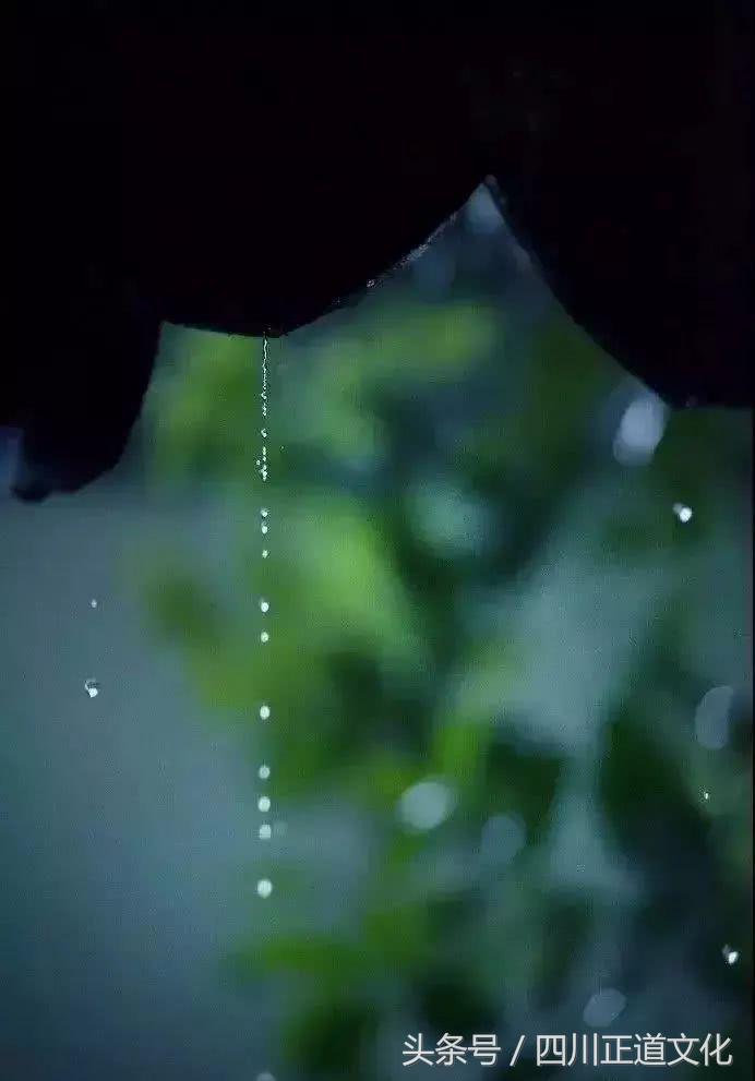 南怀瑾先生50句智慧经典句,南怀瑾50句人生精言