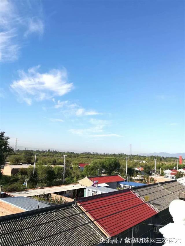 北京龙庆峡民宿,北京龙庆峡民宿第一名