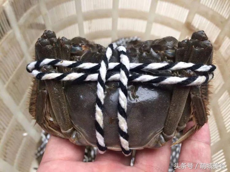 教你挑选螃蟹的8个技巧,螃蟹挑选技巧螃蟹的种类