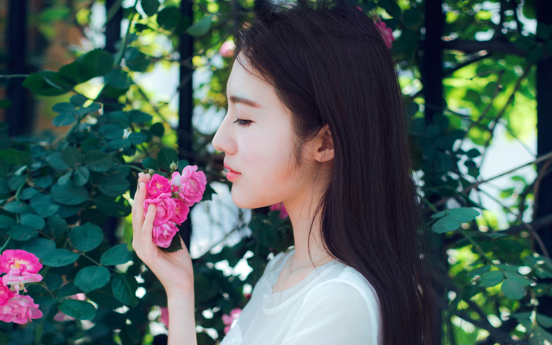 腹黑大灰狼溺宠小猫咪,腹黑大灰狼vs呆萌小萝莉