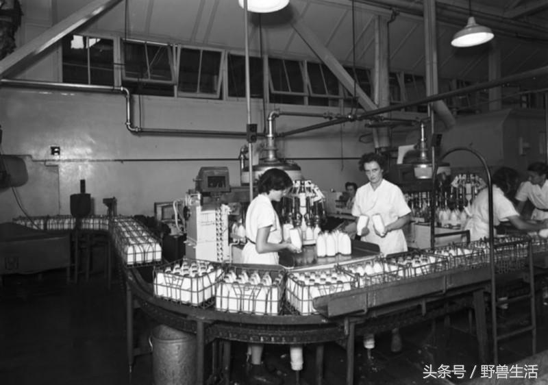 大蒜片一天吃多少最好,大蒜的保健吃法和注意点