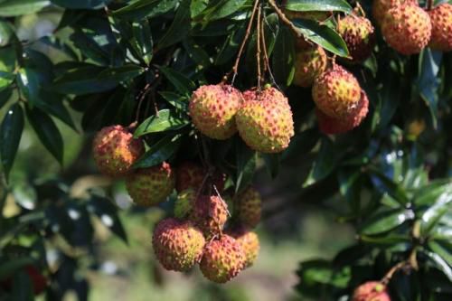 2019中国电商扶贫,电商扶贫新模式