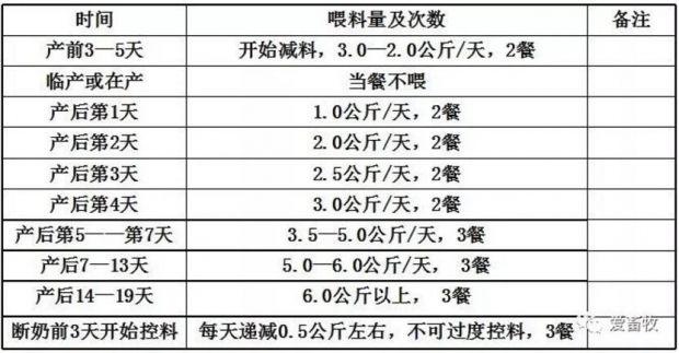 母猪产仔全过程讲解,母猪接生操作视频教程