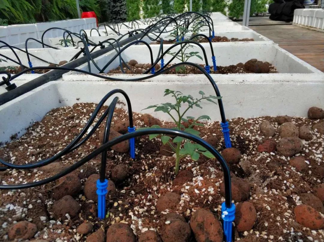 只有120亩的庄园，依靠营地教育，每年游客超十万，在股交所挂牌