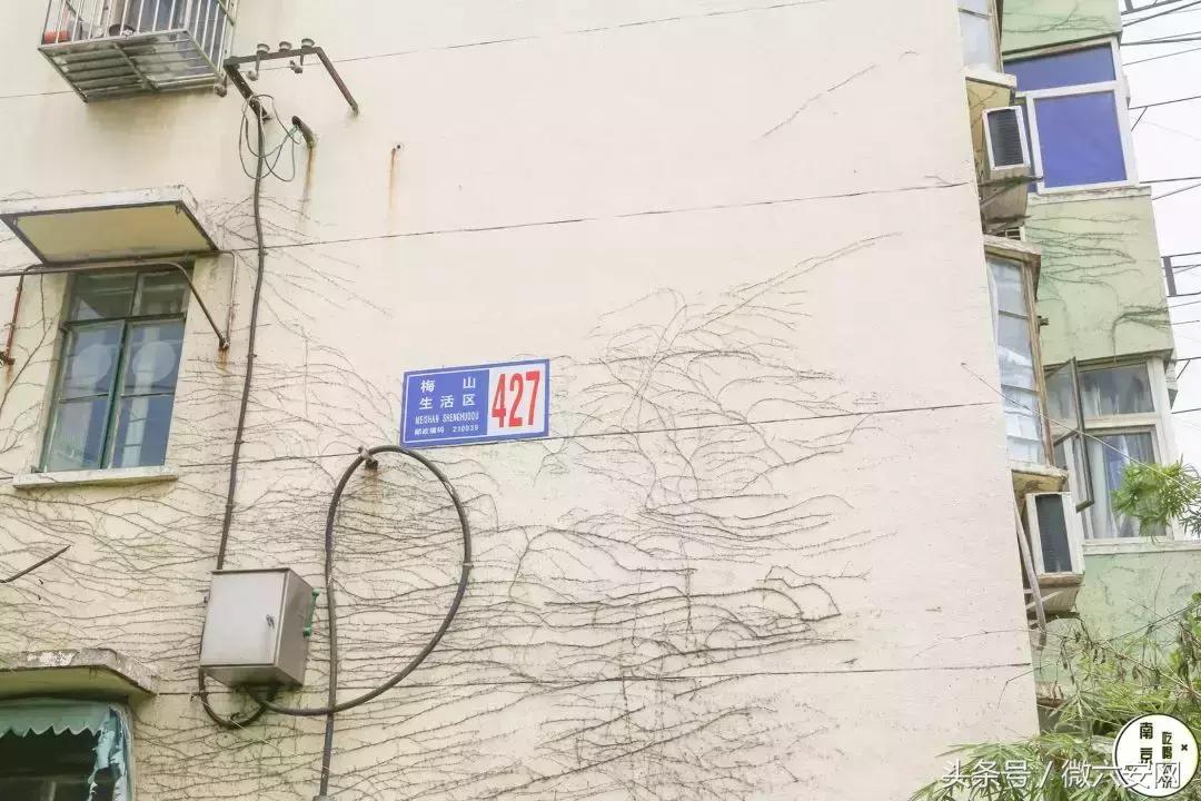 南京梅山属于上海吗,南京的梅山在什么位置