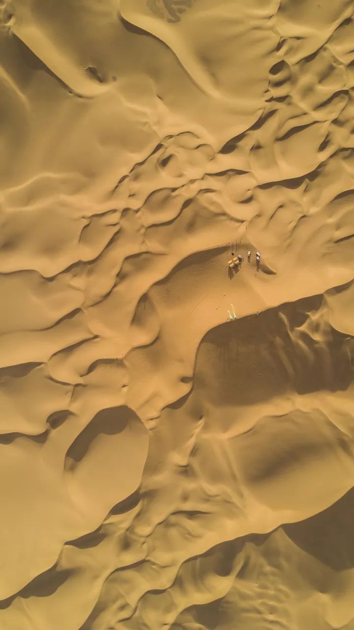 什么是中国传统文化,什么是中国文化